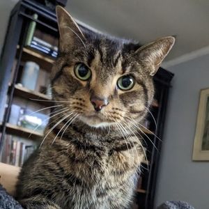 Buy one $4 item and get another $4 item for free. Happy Spring ♥️